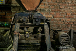 Seed grinder, Khokana mustard factory, Nepal