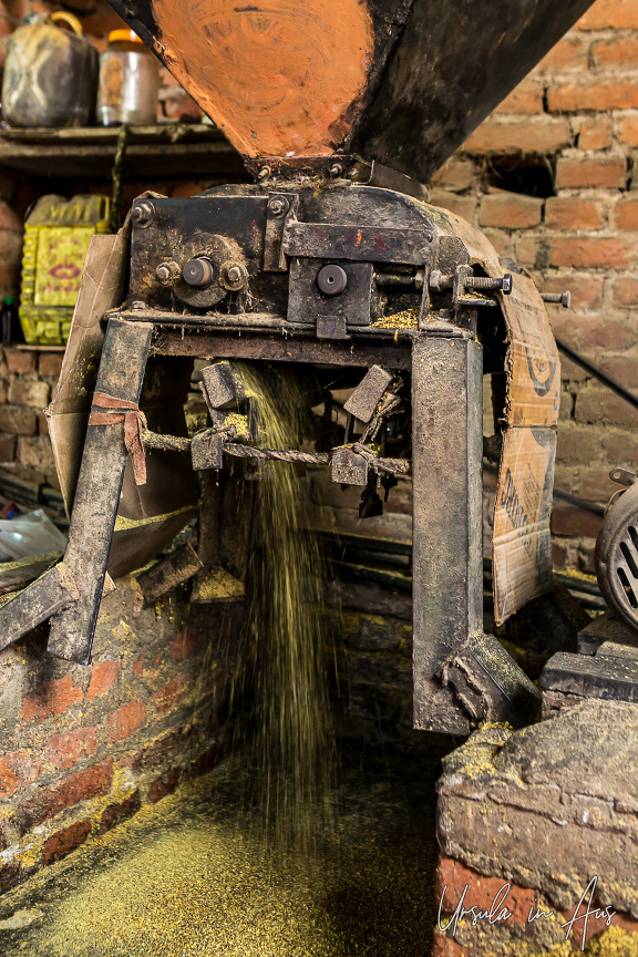 Making Mustard Oil: Khokana, Nepal » Ursula's Weekly Wanders