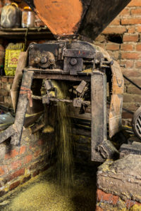 Stream of ground seed out of a grinder, Khokana mustard factory, Nepal