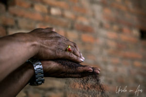 Close-up: Man's hands with roasted mustard seed, Khokana factory, Nepal