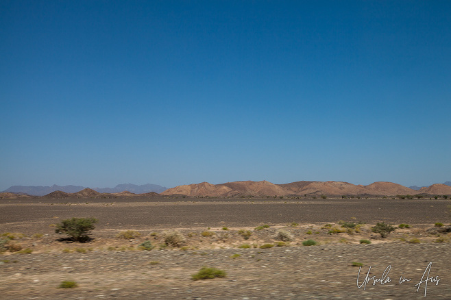 Flat desert landscape, central Oman
