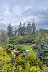 Queen Elizabeth Quarry Gardens, Vancouver Canada