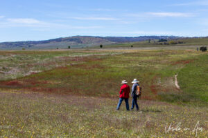 Women on the Adaminaby Golf Course, NSW Australia