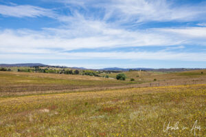 View from the Adaminaby Golf Course, NSW Australia