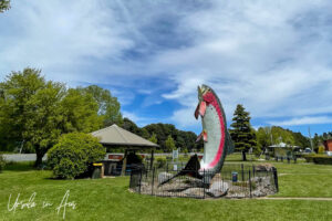 The Big Trout sculpture, Adaminaby NSW Australia