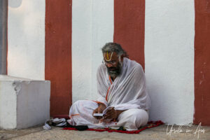 Seated man reading prayers, Kapaleeshwarar Temple, Chennai, Tamil Nadu India