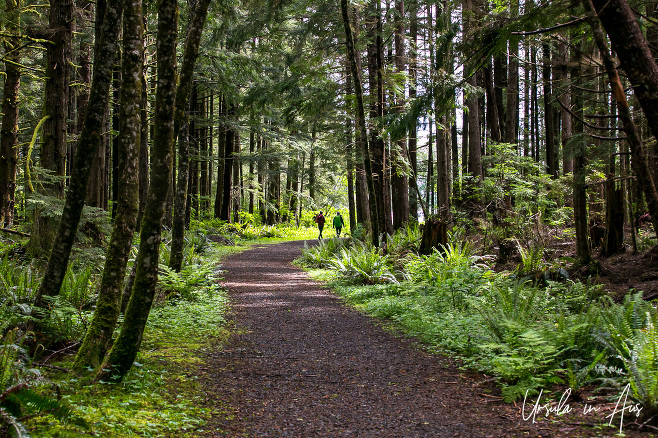 Walkers on the trail near Storey