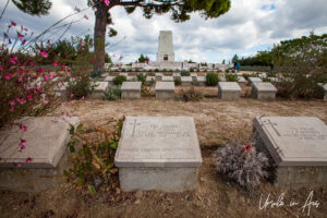 A single pine at the Lone Pine Memorial, Gallipoli Turkey
