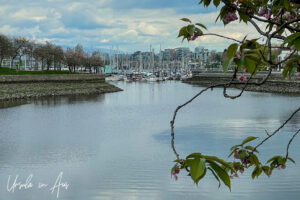 View across False Creek from Fairview, Vancouver BC Canada
