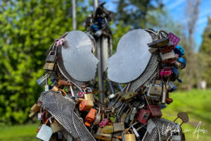 Metal sculpture covered in locks, Vancouver BC Canada.