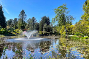 Fountain, VanDusen Gardens, Vancouver BC Canada.