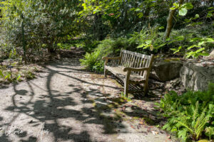 Wooden bench on a pathway, VanDusen Gardens, Vancouver BC Canada.