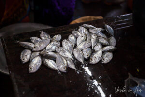 Fresh silver fish, Goubert Market, Puducherry, India.