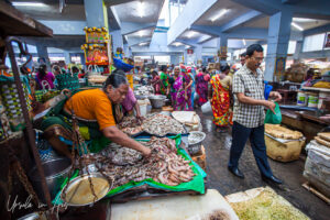 Woman selling prawns, Goubert Market, Puducherry, India.