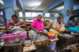 Seated fish vendors, Goubert Market, Puducherry, India.