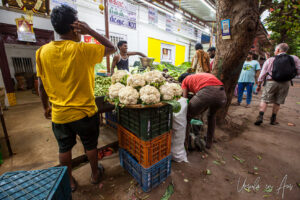 Cauliflower for sale, Heritage Town, Puducherry