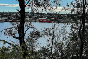 Boats moored on the waterfront, Lakes Entrance, Australia.