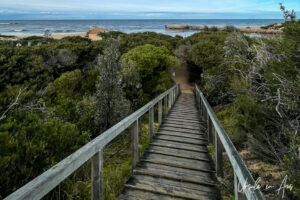 Wooden walkway from Flagstaff Lookout, Lakes Entrance Loop, Victoria Australia