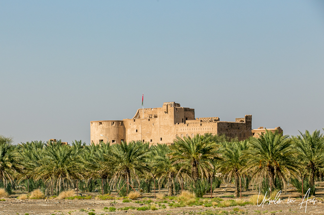 Jabreen Castle from the highway, Oman