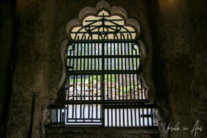 Looking out through an ornate window, the old elephant house, Taronga Zoo, Sydney, Australia