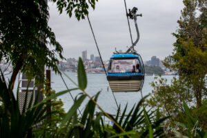 Gondola overhead, Taronga Zoo, Sydney, Australia