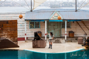 Woman and seal, Seal Theatre, Taronga Zoo, Sydney, Australia
