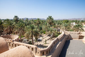 Date plantation from Nizwa Fort, Oman