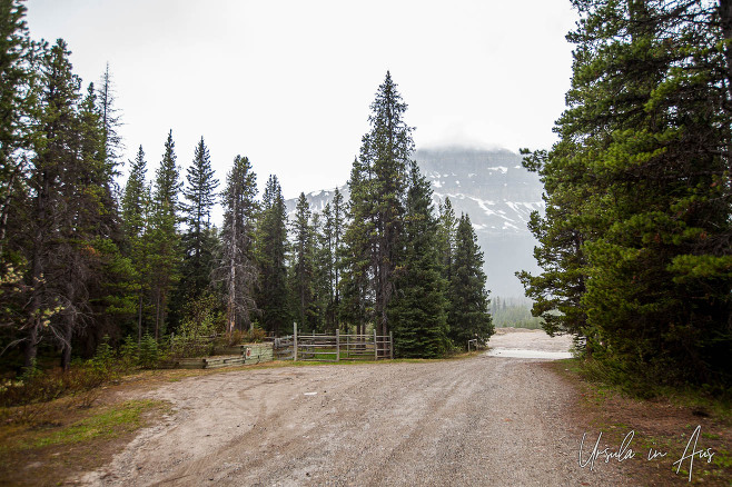 Brown gravel road in the rain, Mosquito Creek, Banff Alberta Canada