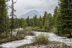 A rocky creek with mountains behind, Mosquito Creek, Banff Alberta Canada