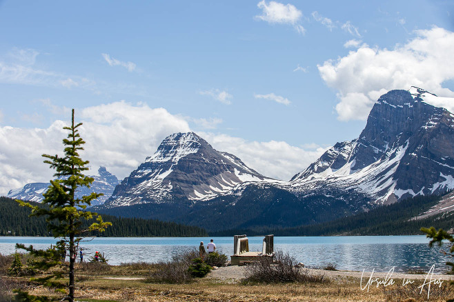 People on the shore of Bow Lake, Banff National Park, Canada