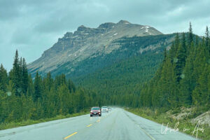 Wet and quiet Highway 93N, Banff Alberta Canada