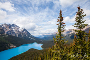 Landscape: Overlooking Peyto Lake, Banff National Park, Canada
