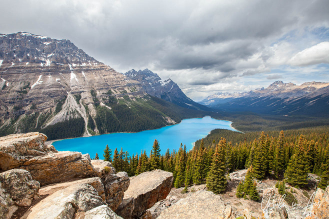 Landscape: Overlooking Peyto Lake, Banff National Park, Canada