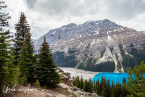 Landscape: Overlooking the south end of Peyto Lake, Banff National Park, Canada
