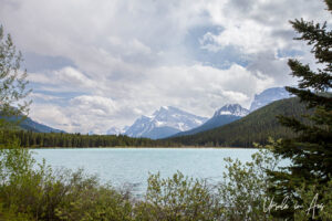 View over Waterfowl Lakes, Highway 93N, Banff Alberta Canada