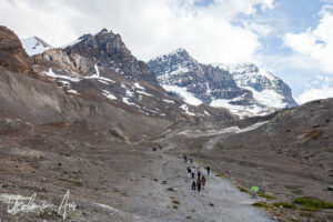 Walkers on the path to the Athabasca Glacier, Jasper Alberta Canada