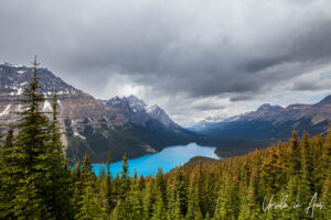 Landscape: Overlooking Peyto Lake, Banff National Park, Canada