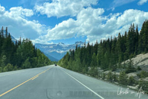 Through a car windscreen: Highway 93N, Banff Alberta Canada
