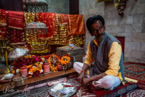 Seated Hindu man in a temple sanctum, Kunjapuri Temple, Uttarakhand, India