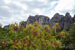 Trees and mountains, Meteora, Greece