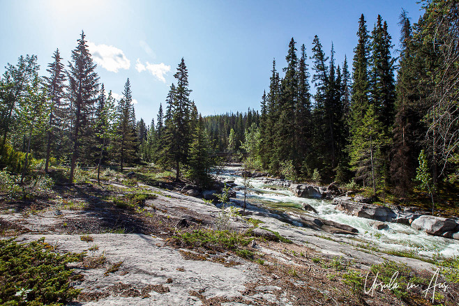 Maligne River on the flat at the top of Maligne Canyon, Jasper Alberta Canada