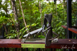 Quirky metal sculpture of a praying mantis, walkway, Barron Gorge National Park, Queensland Australia