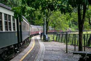 Kuranda Scenic Railway train in the station, Barron Falls, Queensland Australia