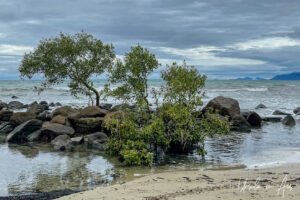 Rocks on the north end of Four Mile Beach, Port Douglas, Queensland Australia