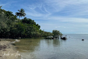 Rocks on the north end of Four Mile Beach, Port Douglas, Queensland Australia