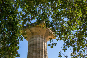 Pillar in the Temple Of Zeus framed by green leaves, Olympia Greece.