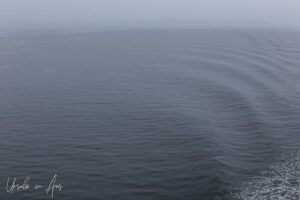 Raindrops and slight waves on empty water, Inside Passage, Canada.