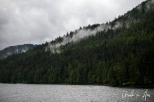 Rainy weather, the Inside Passage, Canada.