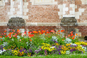 Spring flowers outside Basilique Saint-Sernin de Toulouse, France