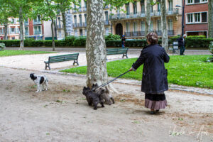 Woman walking her dog in a boulevard, Toulouse France.